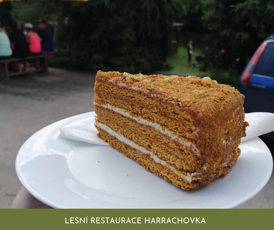 Hotel Lesni Restaurace Harrachovka Tabor Zewnętrze zdjęcie