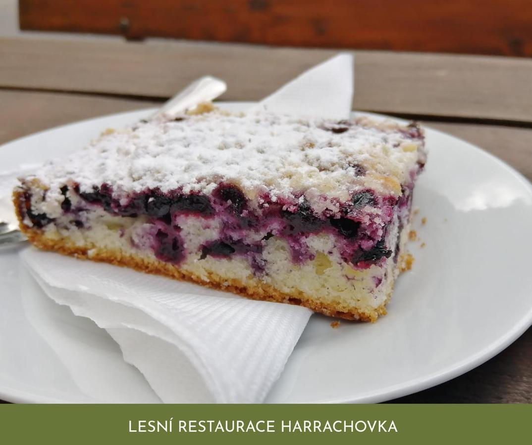 Hotel Lesni Restaurace Harrachovka Tabor Zewnętrze zdjęcie